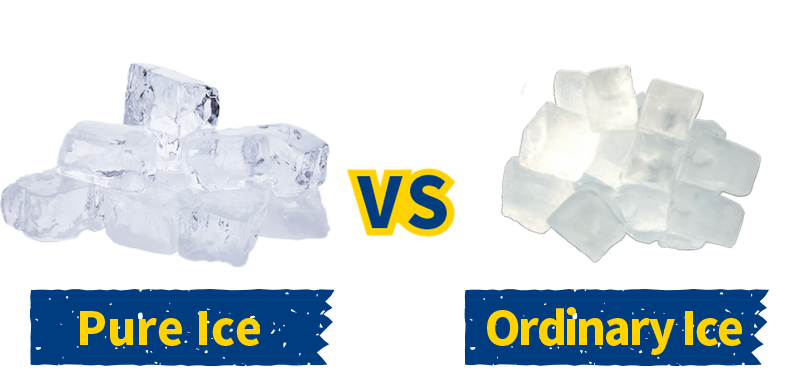 compare-en